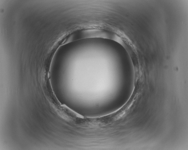 X0000080170201200612081409