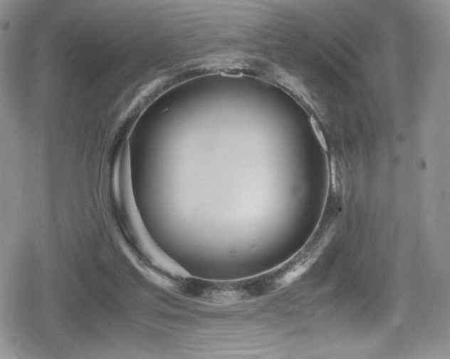 X0000080170205200612081409