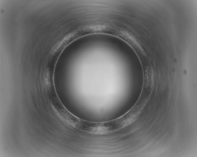 X0000080170212200612081409