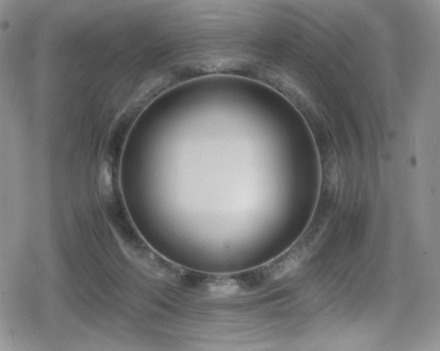 X0000080170214200612081409