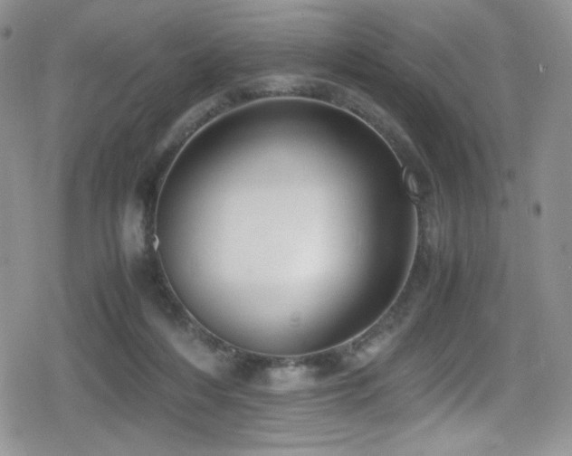 X0000080170216200612081409