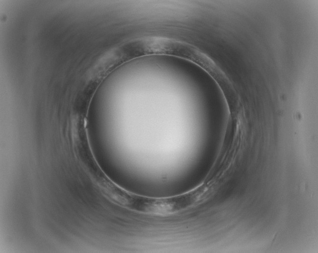 X0000080170217200612081409
