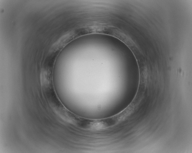 X0000080170218200612081409