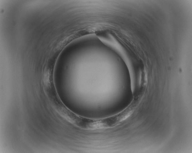 X0000080170219200612081409