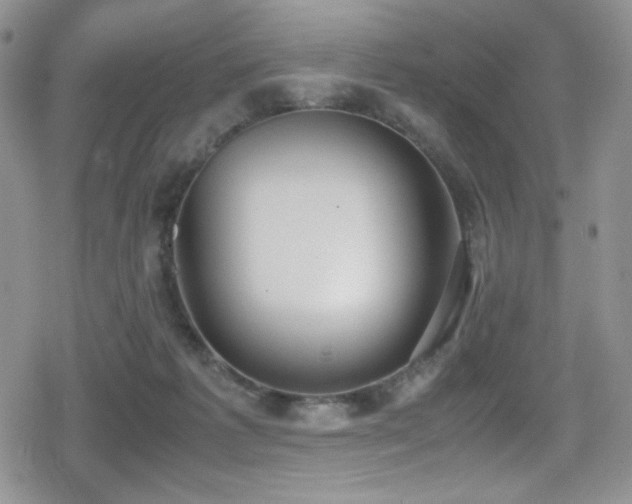 X0000080170221200612081409