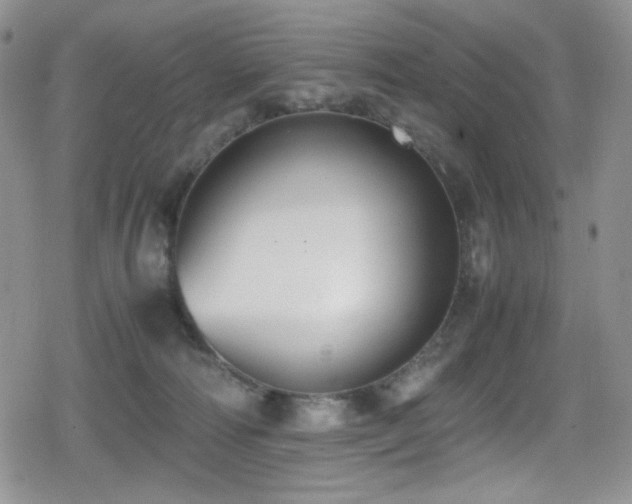 X0000080170226200612081408