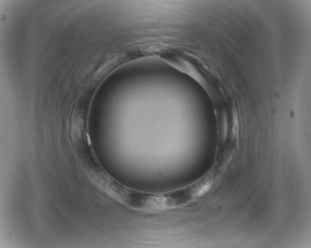 X0000080170227200612081408