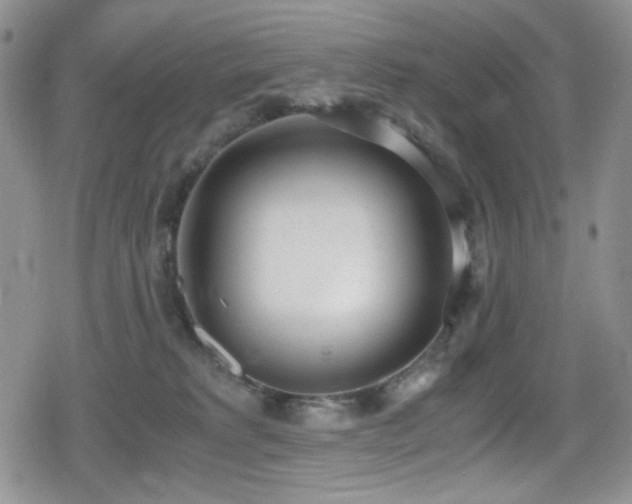 X0000080170229200612081408