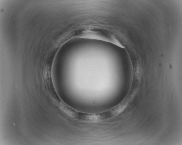 X0000080170233200612081408