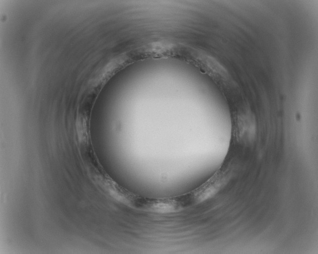 X0000080170236200612081408