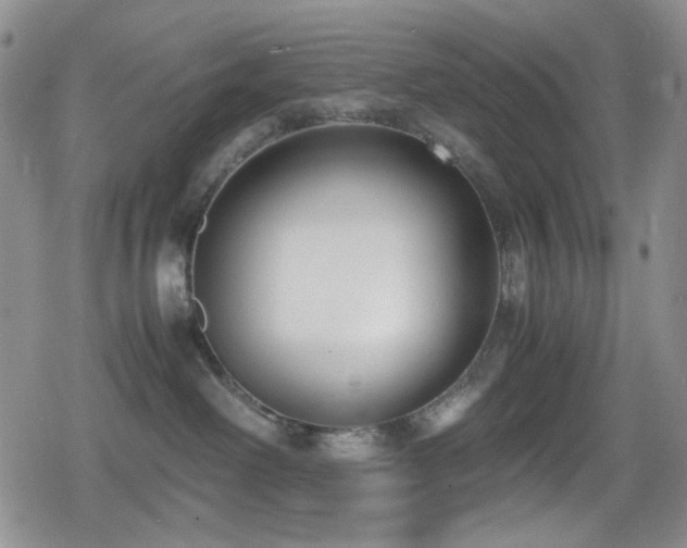 X0000080170238200612081408