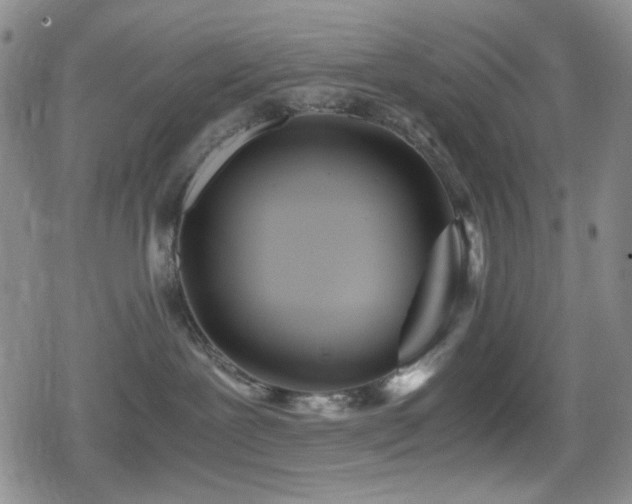 X0000080170239200612081408
