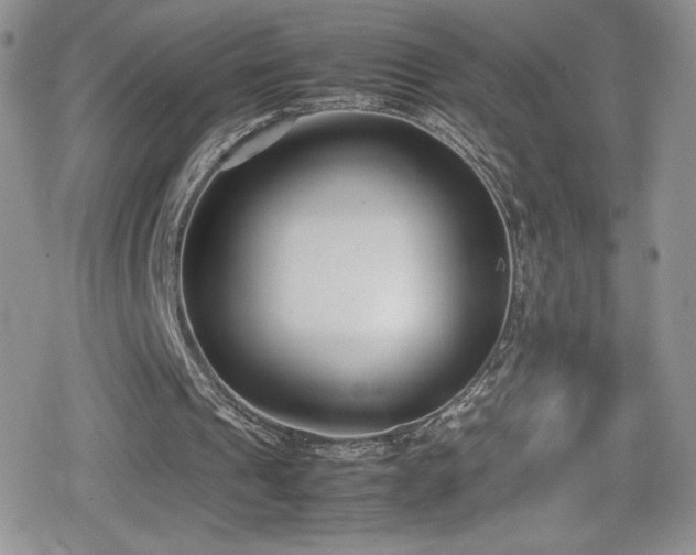 X0000080170241200612081407