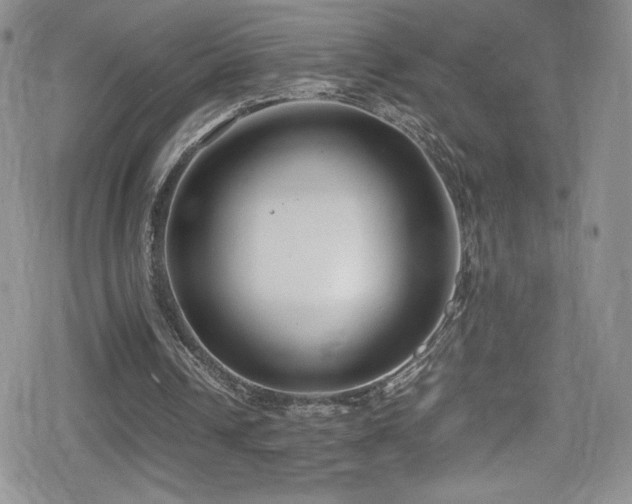 X0000080170242200612081407