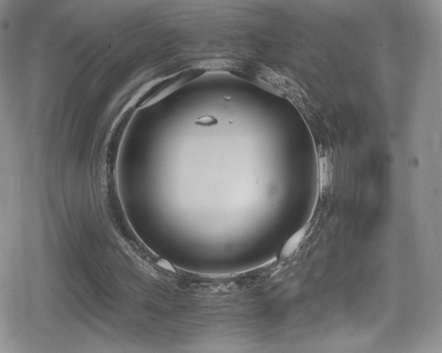 X0000080170243200612081407