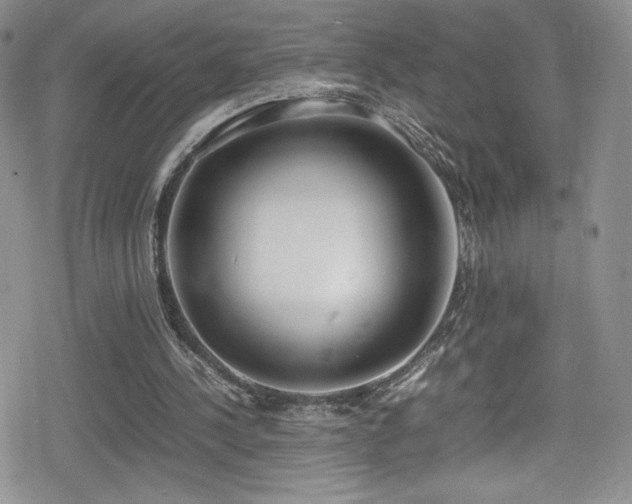 X0000080170244200612081408