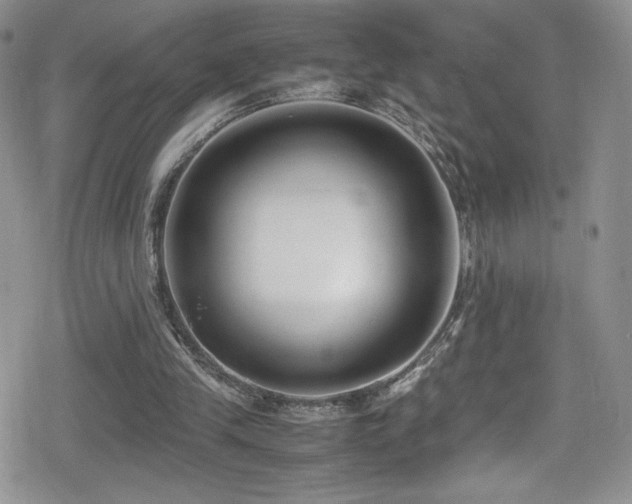 X0000080170245200612081408