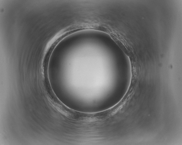 X0000080170246200612081408