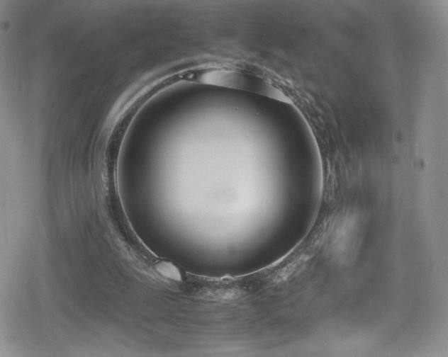 X0000080170247200612081408
