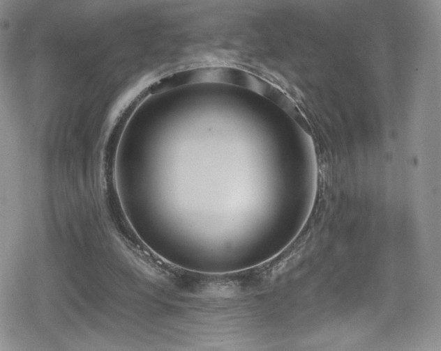 X0000080170248200612081408