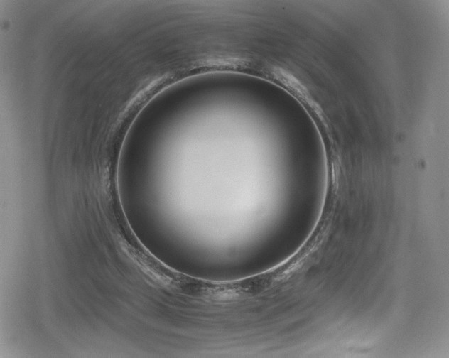 X0000080170249200612081408