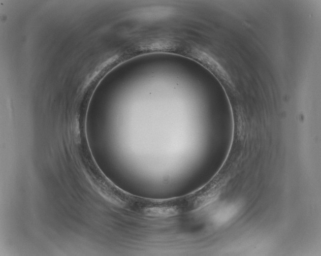 X0000080170251200612081408