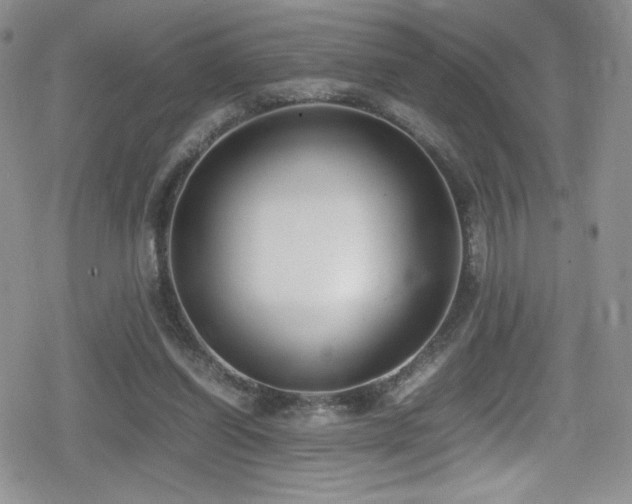 X0000080170254200612081408
