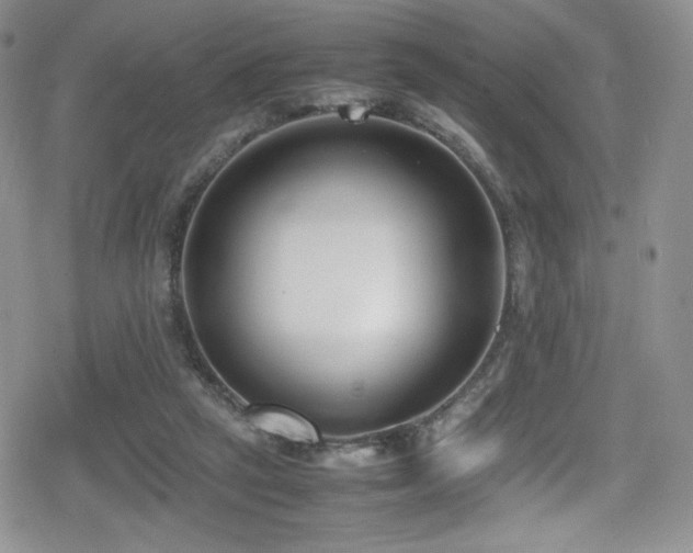 X0000080170257200612081408