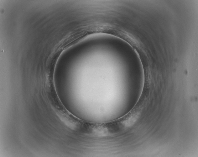 X0000080170258200612081408