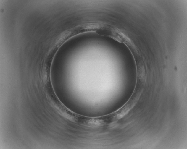 X0000080170261200612081408