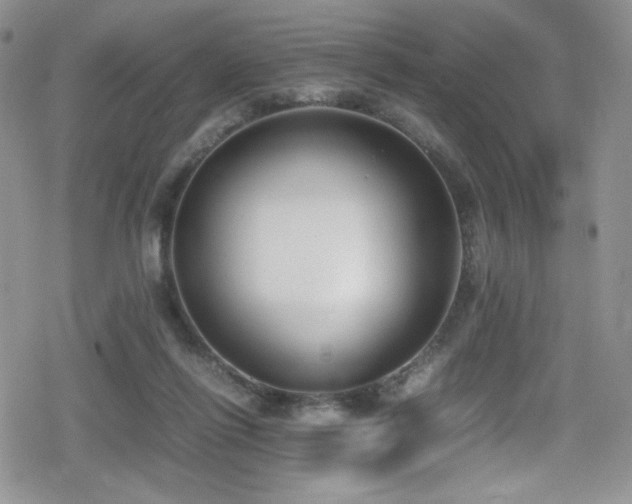 X0000080170262200612081408