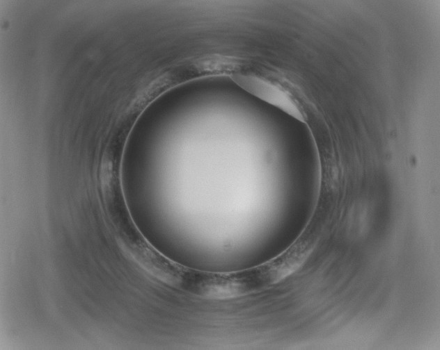 X0000080170263200612081408