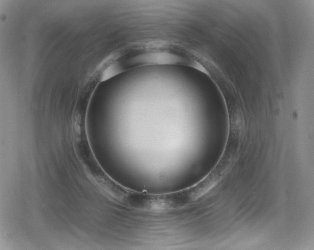 X0000080170264200612081408
