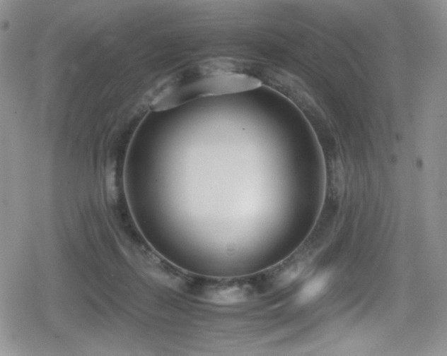 X0000080170267200612081408