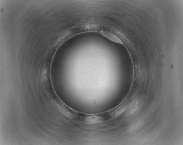 X0000080170269200612081408