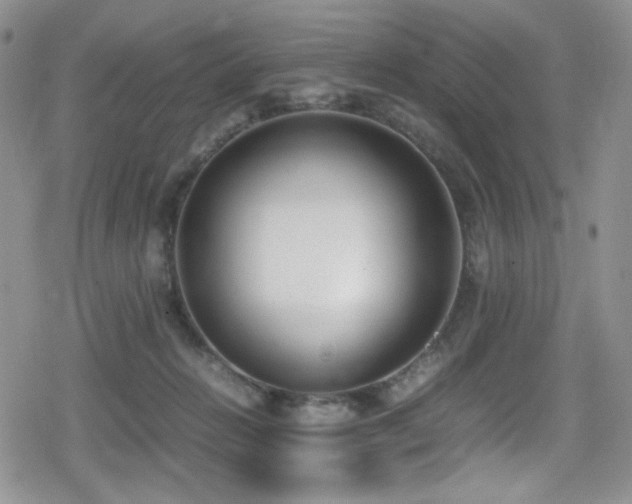 X0000080170270200612081408