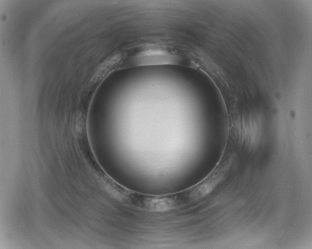 X0000080170277200612081408