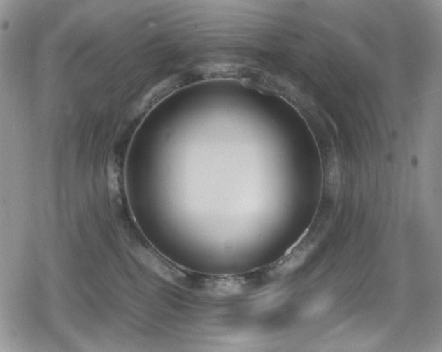 X0000080170282200612081408
