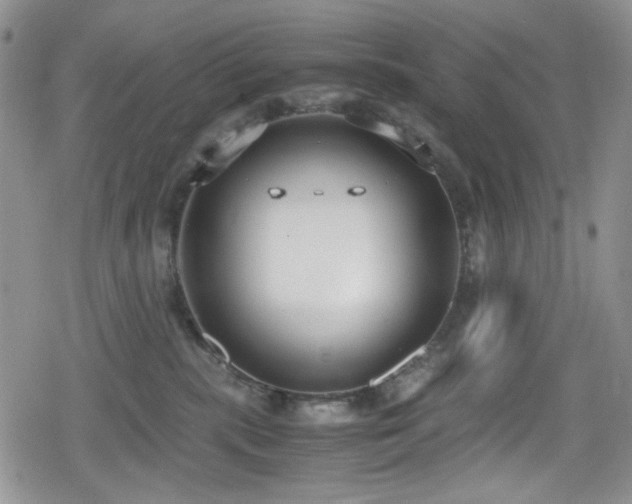 X0000080170283200612081408