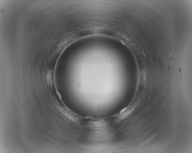 X0000080170286200612081408