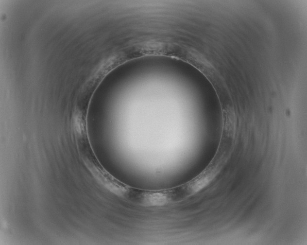 X0000080170287200612081408