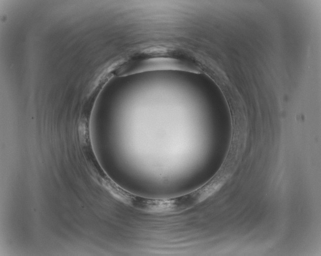 X0000080170288200612081408