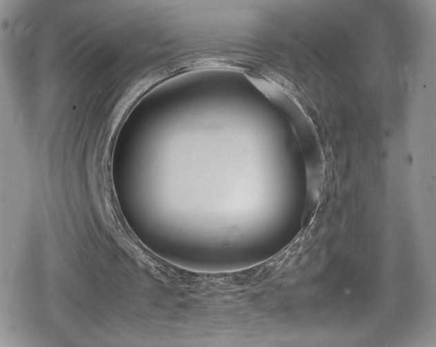 X0000080170289200612081407