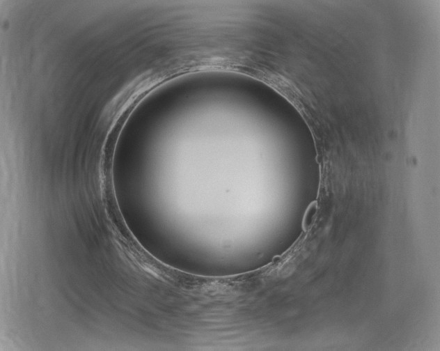 X0000080170290200612081407