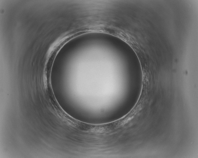 X0000080170294200612081407