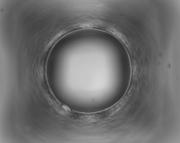 X0000080170297200612081407