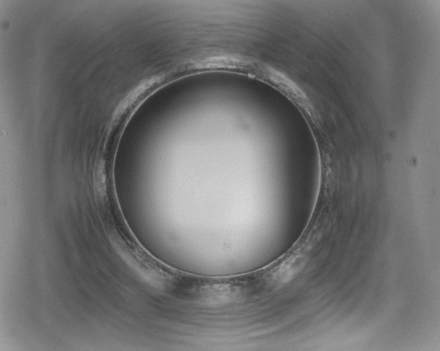 X0000080170298200612081407