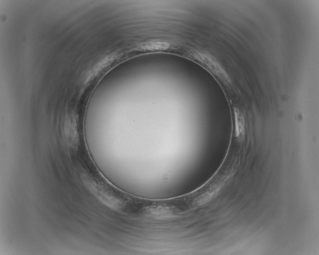 X0000080170300200612081407
