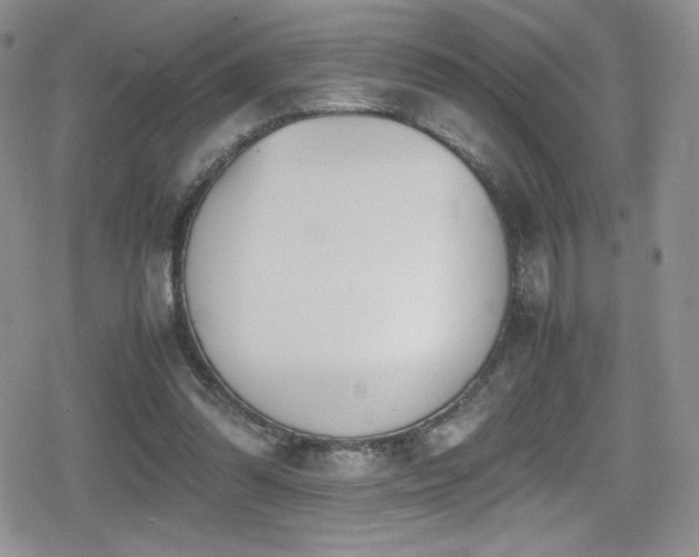 X0000080170302200612081407