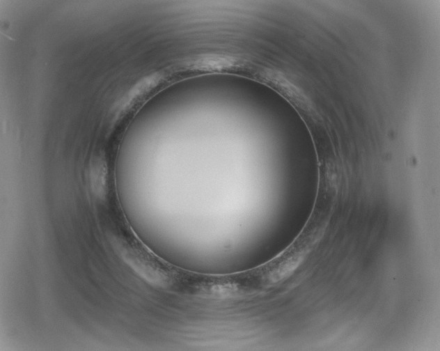 X0000080170304200612081407